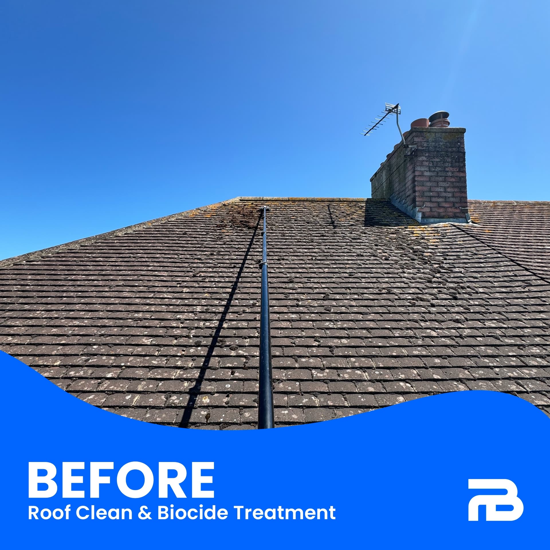 Roof cleaning transformation - moss removal and biocide treatment - Before