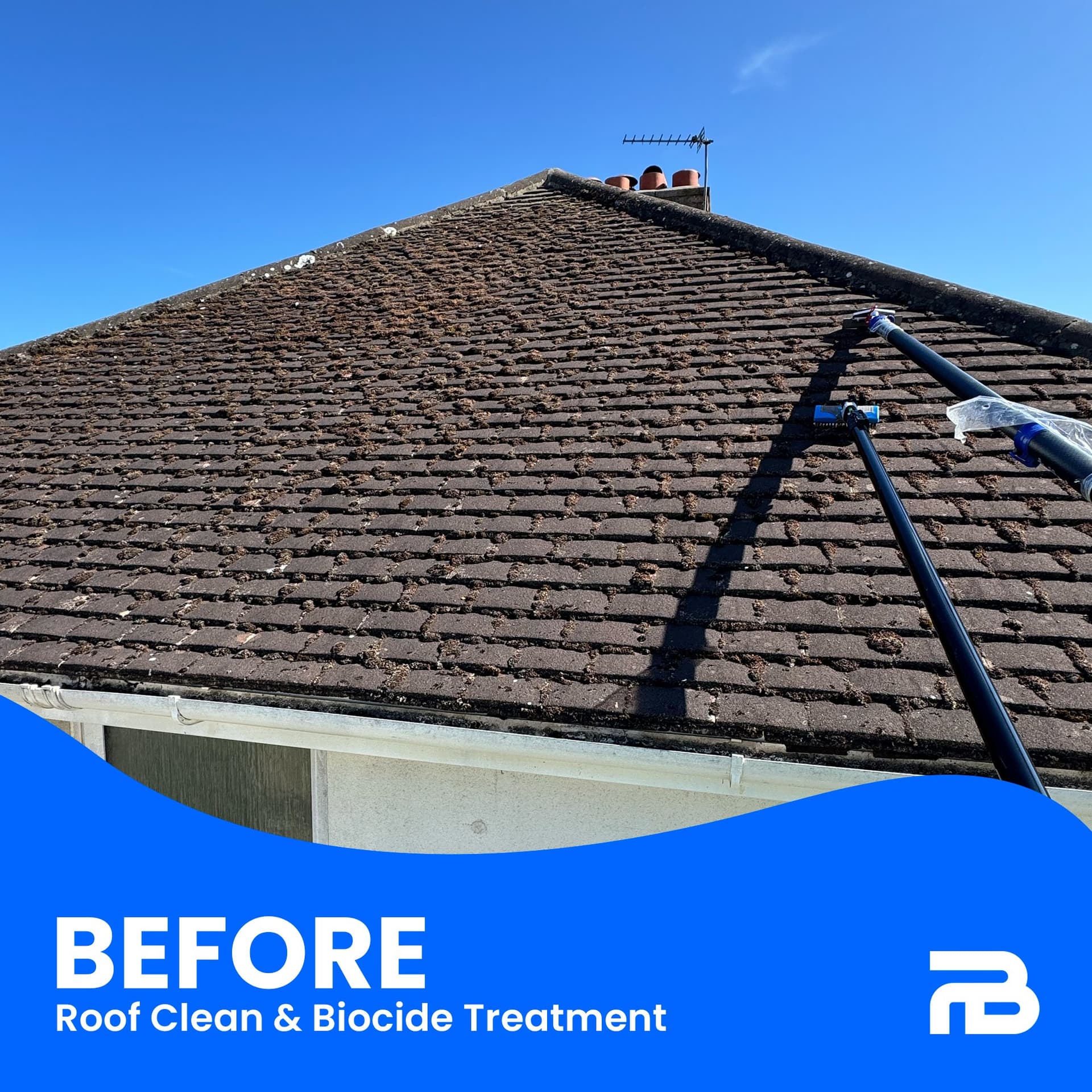 Before - Treatment in progress