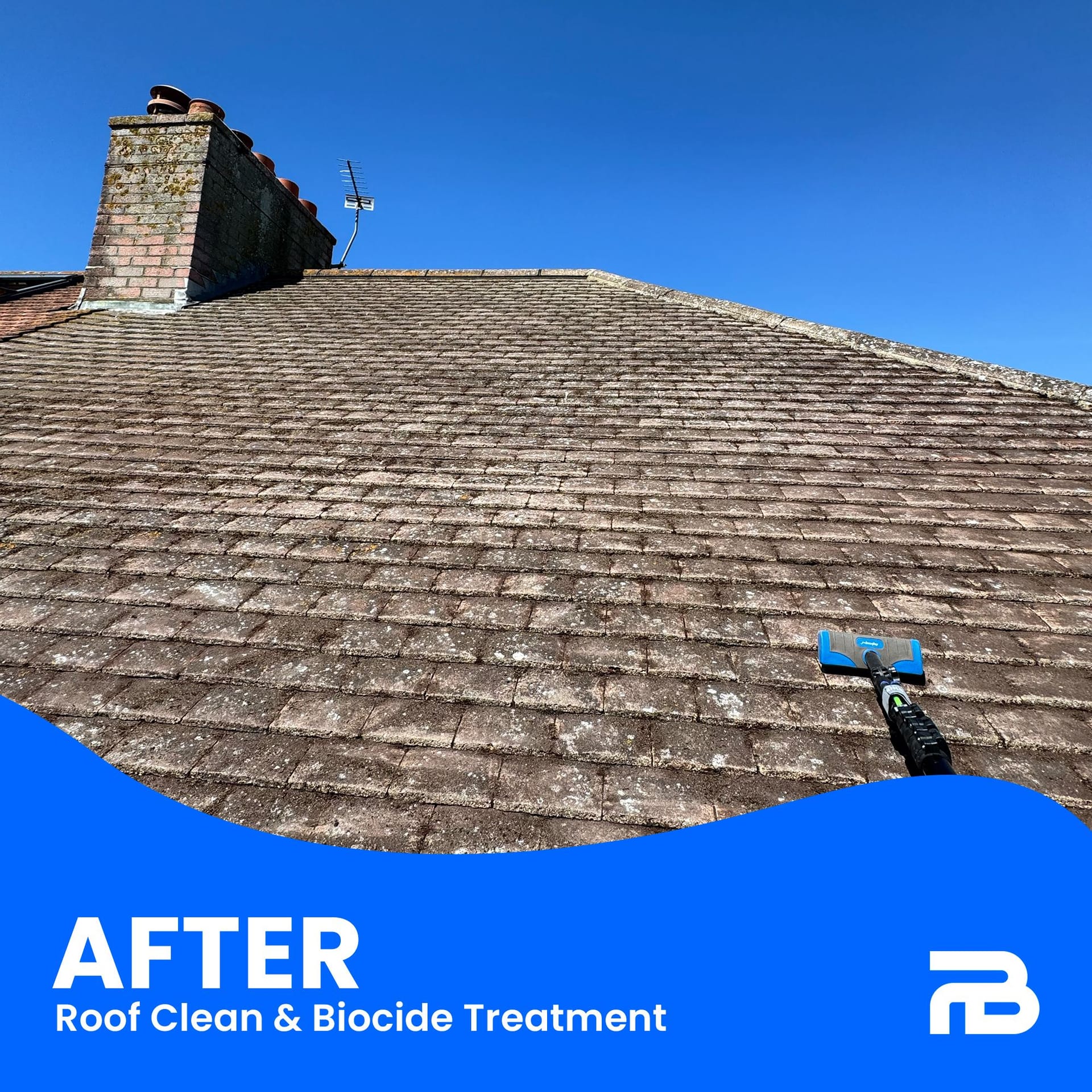 Roof cleaning transformation - moss removal and biocide treatment - After