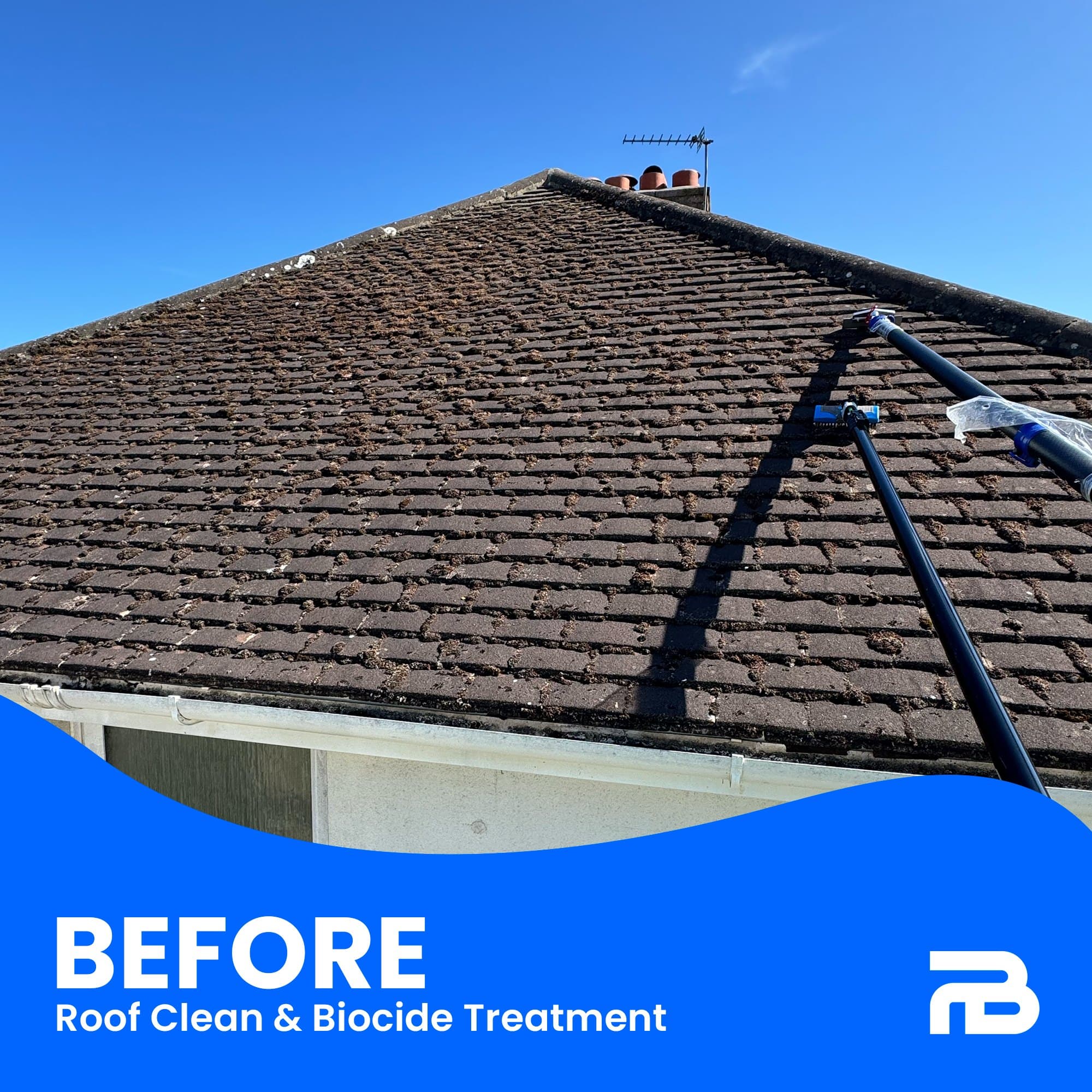 Before - Treatment in progress