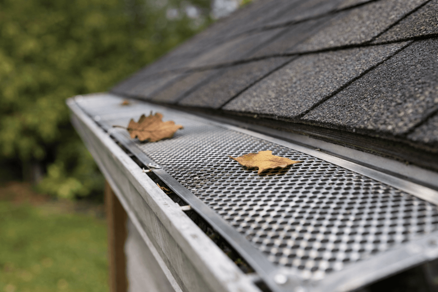 Gutter Guards: Do They Work? A Realistic Assessment for Dorset Properties